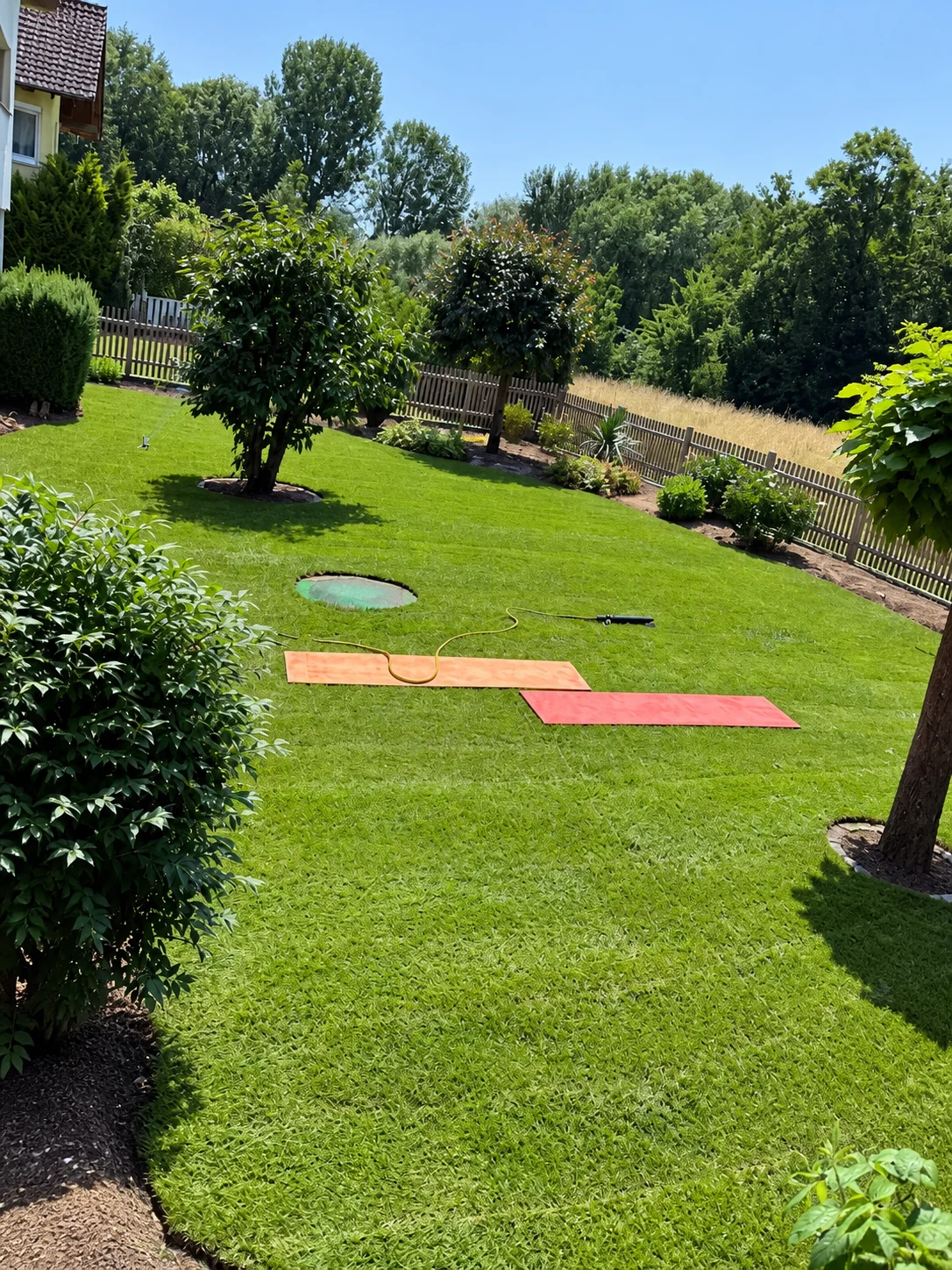 Garten mit Rasenfläche, Baum und bepflanzten Randbereichen.